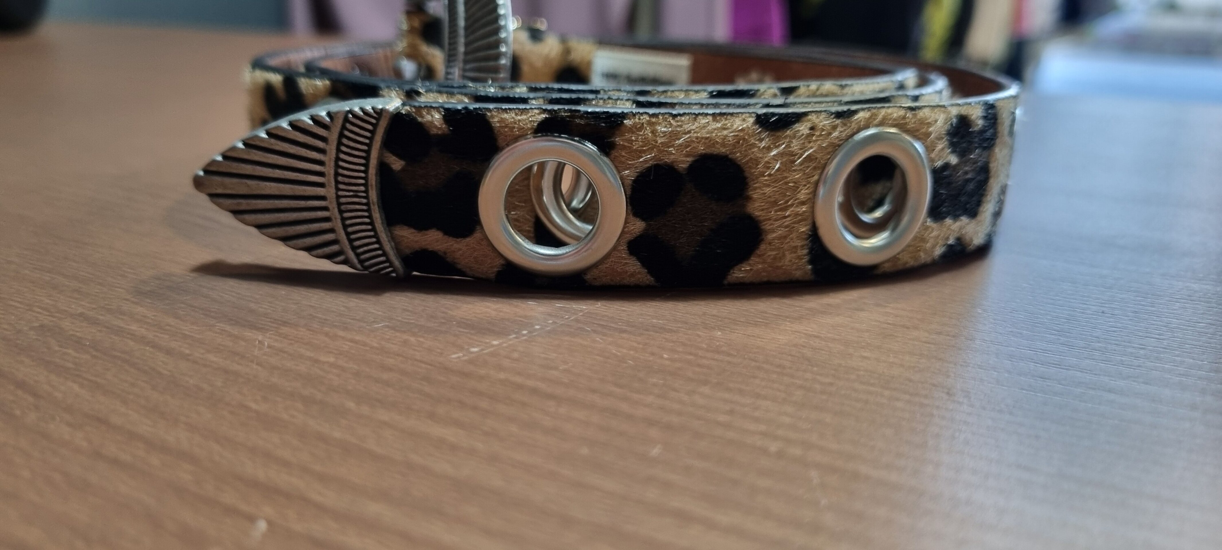 Cinturón leo - 3